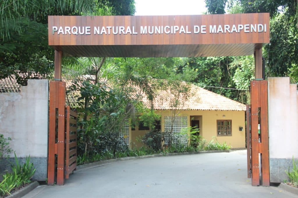 Parque Municipal de Marapendi ganha torre de observação com 13 metros de altura 2 WhatsApp Image 2019 06 18 at 15.54.43 Parque Municipal de Marapendi ganha torre de observação com 13 metros de altura
