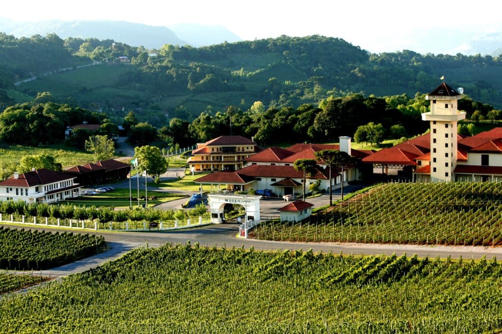 Miolo Vale dos Vinhedos