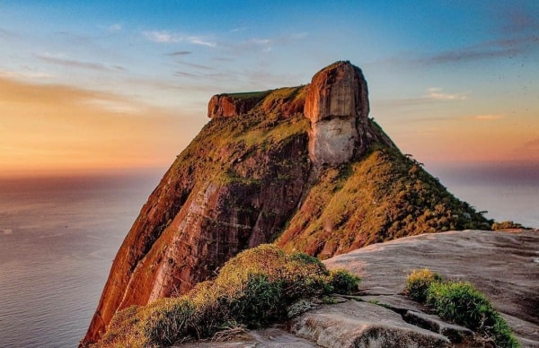 Macaco Sagui, Pão de Açúcar, Rio de Janeiro - Brazil