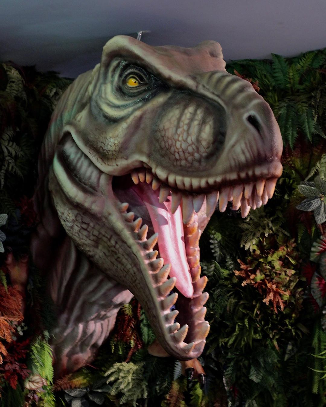 Convites A festa de aniversário T-Rex Dino da escavação do