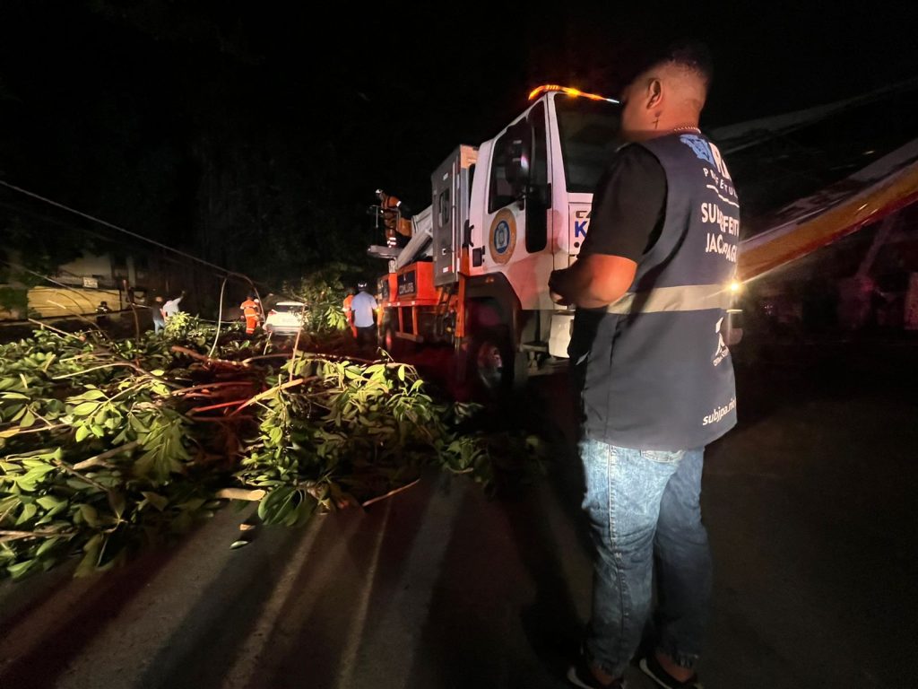 Retrirada de galho em Jacarepagua 1 Galho de árvore que atrapalhava trânsito em via na Taquara é removido