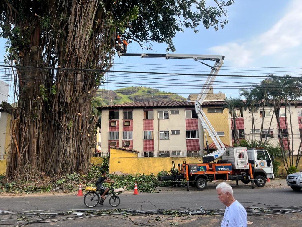 Retrirada de galho em Jacarepagua 2 Galho de árvore que atrapalhava trânsito em via na Taquara é removido