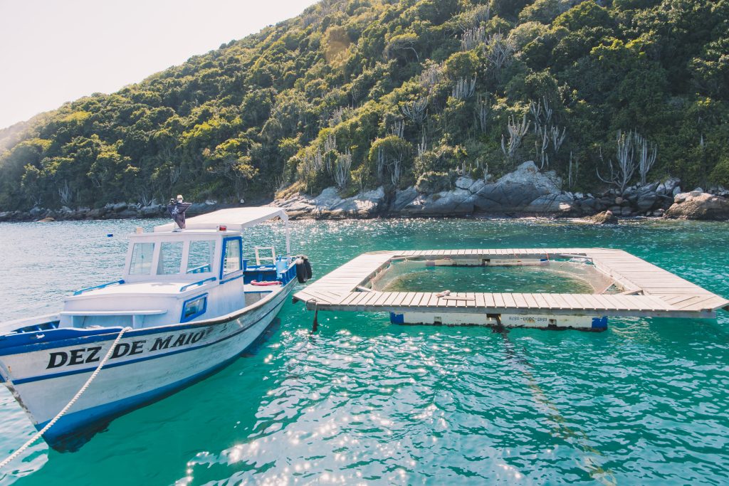 Maricultura em Arraial do Cabo Foto Patrick Gomes Divulgacao Prio Crise em Angra dos Reis impulsiona produção de vieiras em Arraial do Cabo