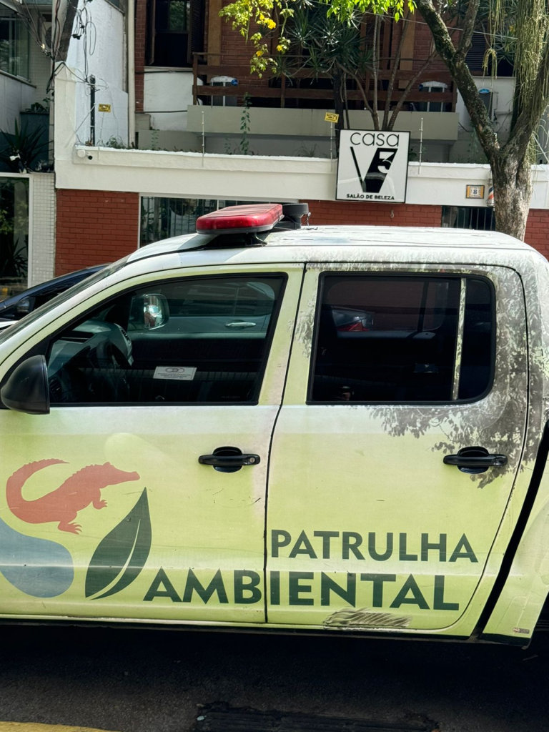 image 55 Curso de inglês é flagrado derrubando pau-brasil em Botafogo; árvore foi cortada sem autorização